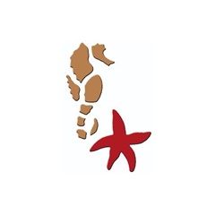 3D šablon Morski konjic i morska zvezda 7k10 cm
