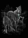 Kreativni set za graviranje engraving - Konji