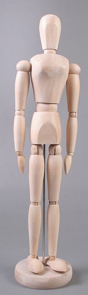 Drveni model ljudskog tela - žena - 40 cm