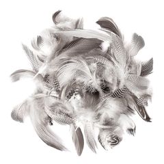 Pačje perje 5 - 12 cm / 5 g